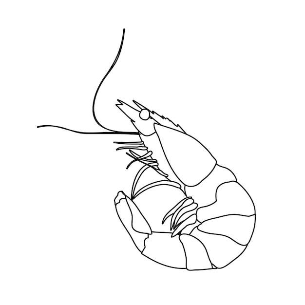 Disegna i gamberetti di contorno