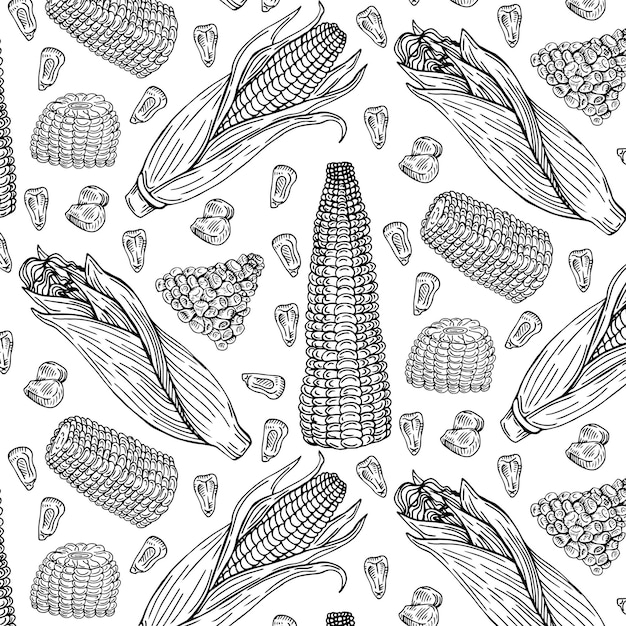 Sketch corn. Harvesting cereals, hand drawn cobs and seeds vector seamless pattern