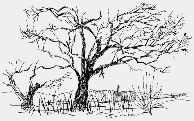 Vector sketch of countryside winter landscape with silhouettes deciduous bare trees