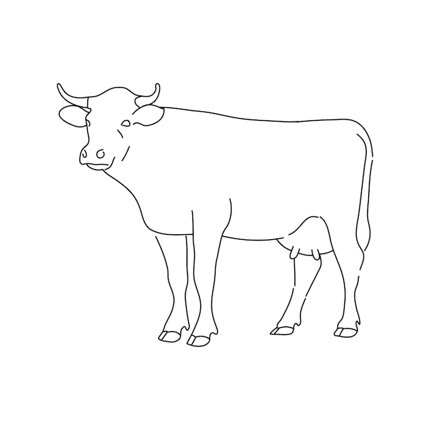 Vector sketch of cow hand drawn vector illustration