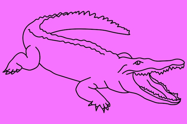 sketch crocodile line art