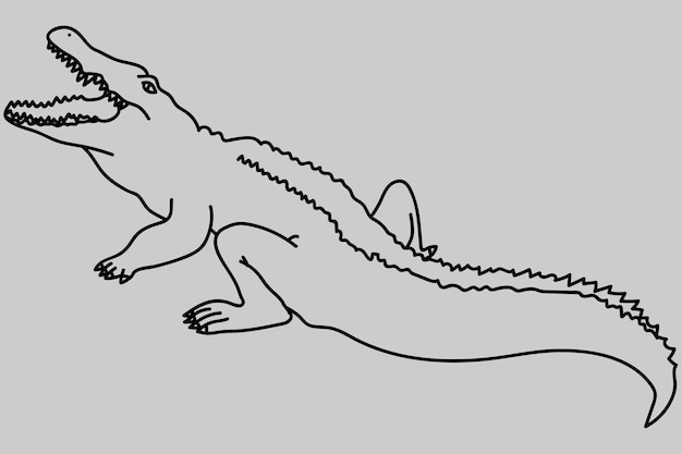 Vector sketch crocodile line art