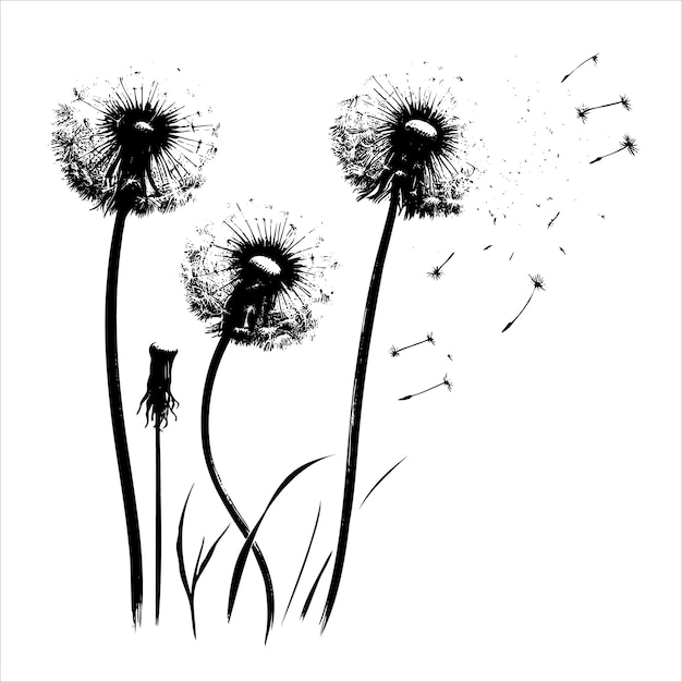 Vector sketch decorative blooming dandelions with fluffy flying seeds vector