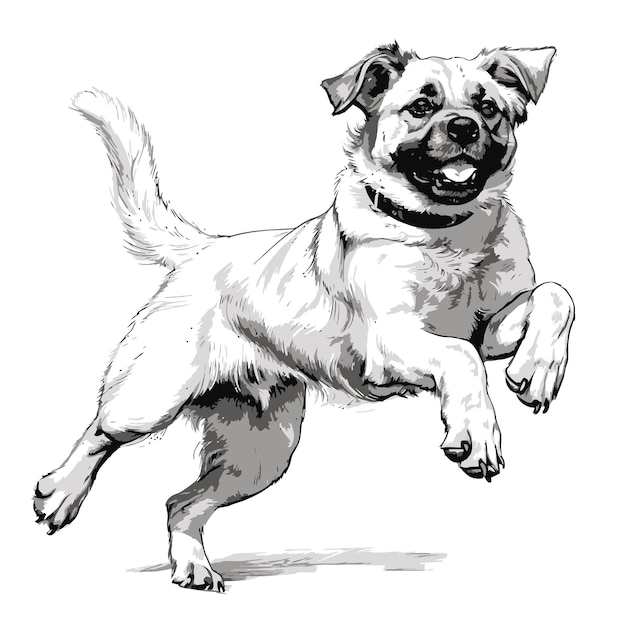 Vector sketch of a dog