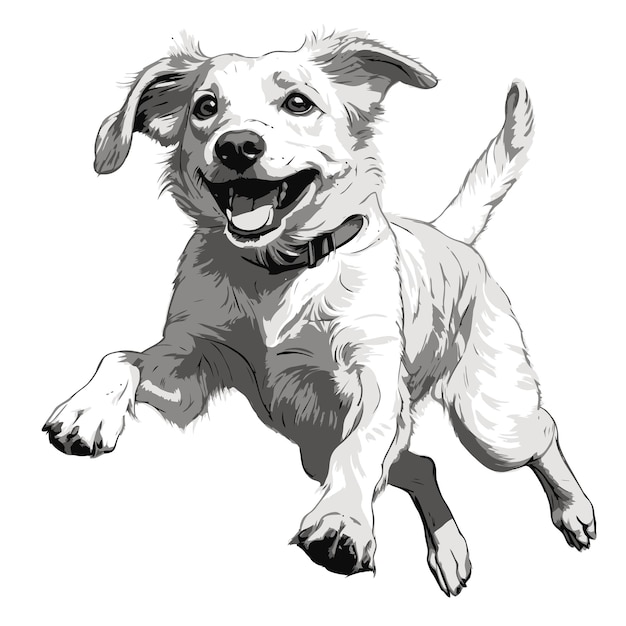 Sketch of a dog