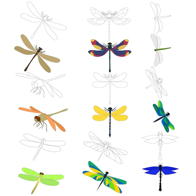 Vector sketch dragonflies on a white background set