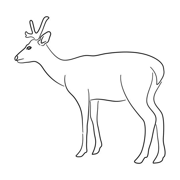 Эскизный рисунок оленя на белом фоне векторная иллюстрация