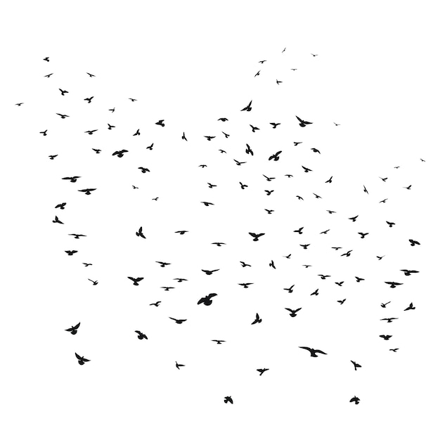 Schizzo di disegno di una silhouette di stormo di uccelli che volano in avanti aggrappati insieme volo di decollo
