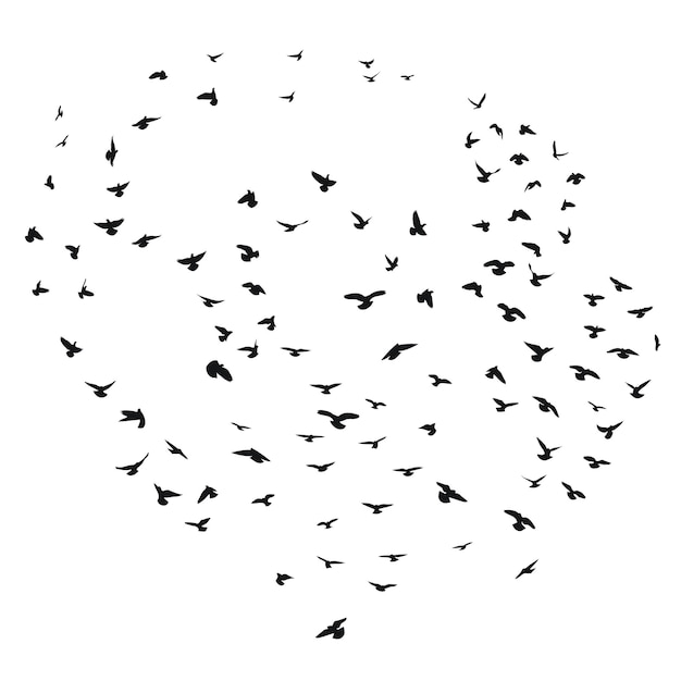 Vector sketch drawing of a silhouette of a flock of birds flying forward cling together takeoff flying