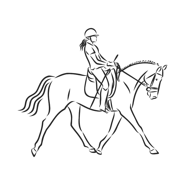 A sketch of a dressage rider on a horse executing the half pass.