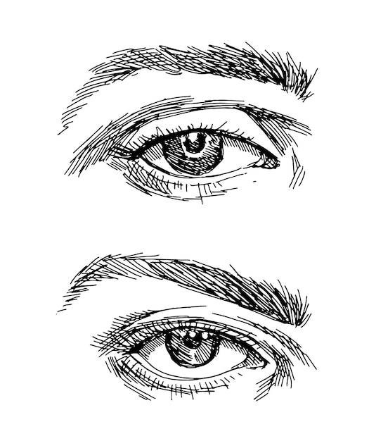 Vector sketch engraving style hand drawn vintage female eye vector in sketch style