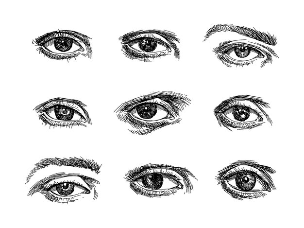 Vector sketch engraving style hand drawn vintage female eye vector in sketch style