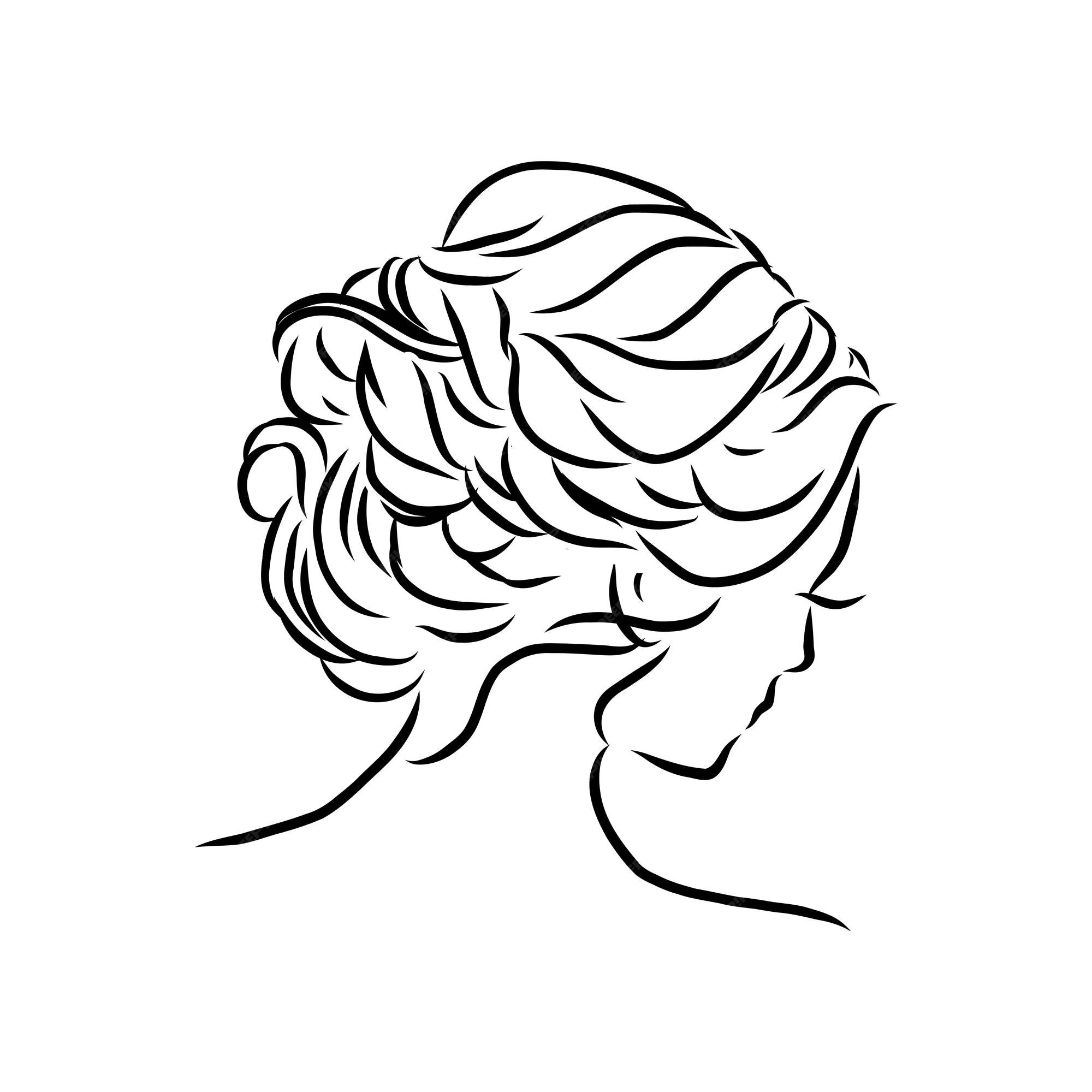 Premium Vector | A sketch of a female hairstyle. a freehand vector  illustration.