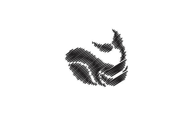 Эскиз рыбы млекопитающих касатка логотип вектор символ значок дизайн графическая иллюстрация