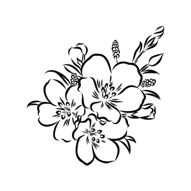 Sketch Floral Botany Collection Magnolia flower drawings Black and white with line art
