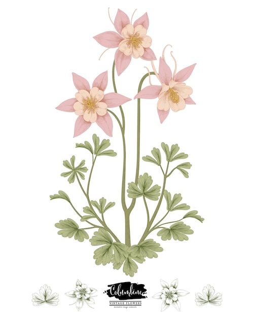 Vector sketch floral botany collection
