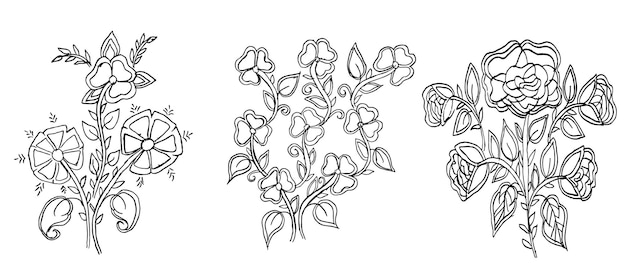 Sketch flower illustration