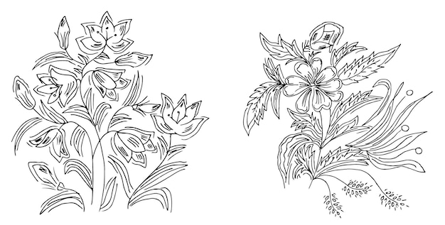 Sketch Flower illustration