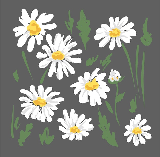 Vector sketch flowers camomile on blue