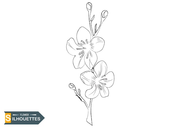 Vector a sketch of flowers on a white background