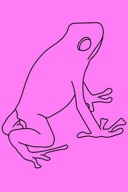 sketch frog line art