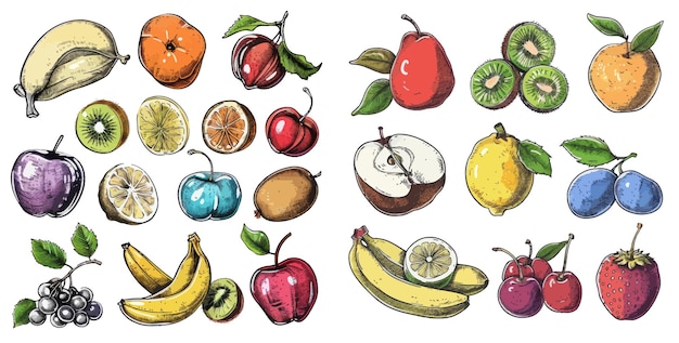 Vector sketch fruits apple and banana pineapple and orange sketch illustration