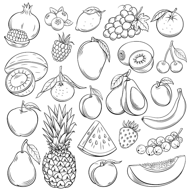 Schizzo set di icone di frutti e bacche. prodotto agricolo disegnato a mano della raccolta decorativa di stile retrò per il menu del ristorante, etichetta del mercato. mango, mirtillo, ananas, mandarino e così via.