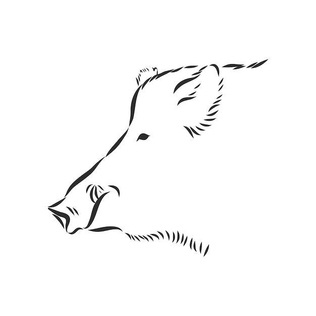 Sketch grunge wild boar in the profilestock vector illustration wild boar