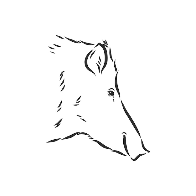 Vector sketch grunge wild boar in the profilestock vector illustration wild boar