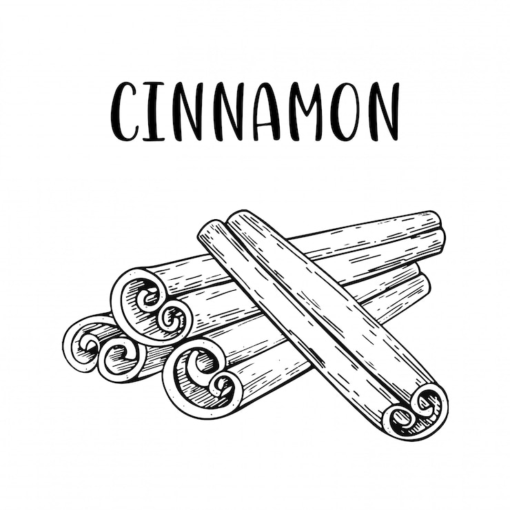 Vector sketch hand drawn cinnamon