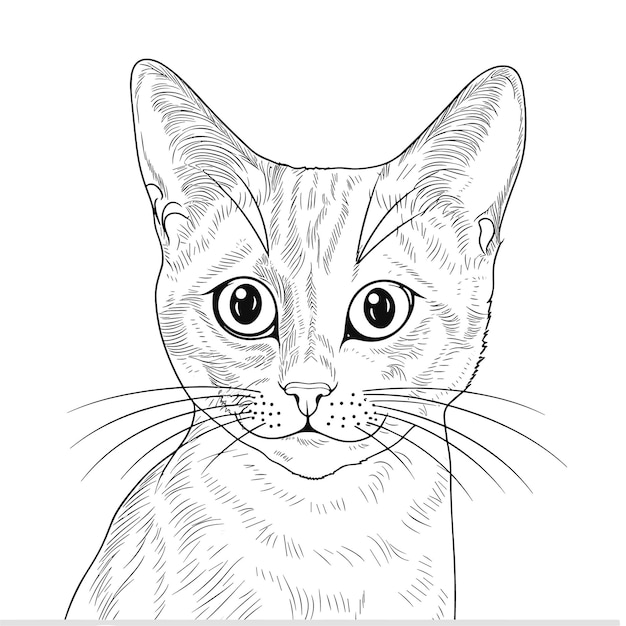 Vector sketch hand drawn single line art coloring page line drawing cat day