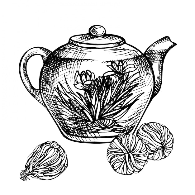 Эскиз рисованной чайник. Цветущий зеленый чай с цветами в стеклянном чайнике. Экзотический Цветущий чай