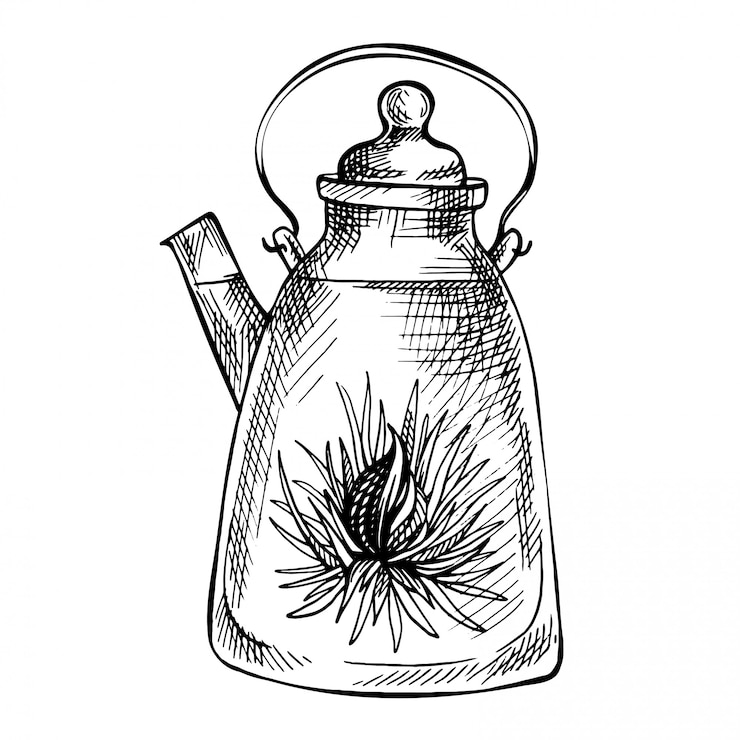 Vector sketch hand drawn teapot.