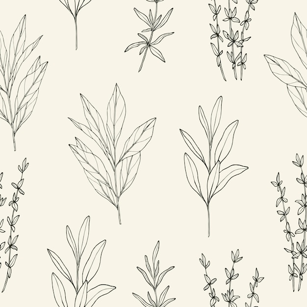 Vector sketch herbs and spices seamless pattern