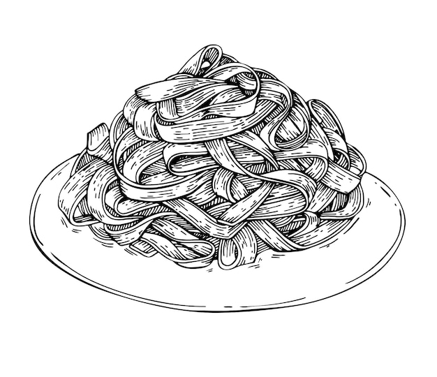 Sketch homemade Italian fettuccine pasta on plate .