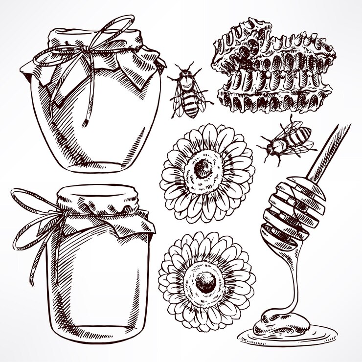 Vector sketch honey set. jars of honey, bees, honeycomb. hand-drawn illustration