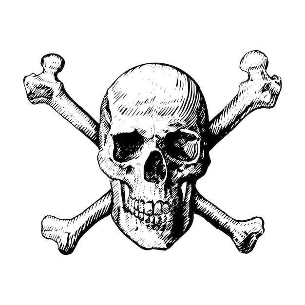 Sketch icon of a human skull jolly roger