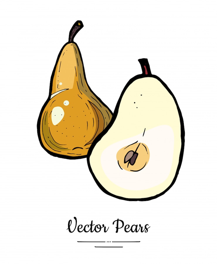 Vector ナシ果実、半分カットスライスのスケッチ図