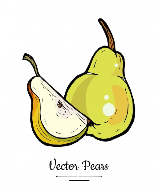 Sketch illustration of pear fruit, half cut slice