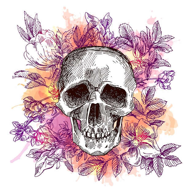 Sketch illustration the skull