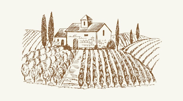 Sketch landscape with castle medieval farm nature and vine plantation vintage vineyard agricultural rustic vector illustration