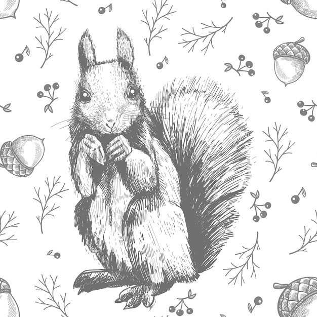 Sketch line art drawing of squirrel pattern