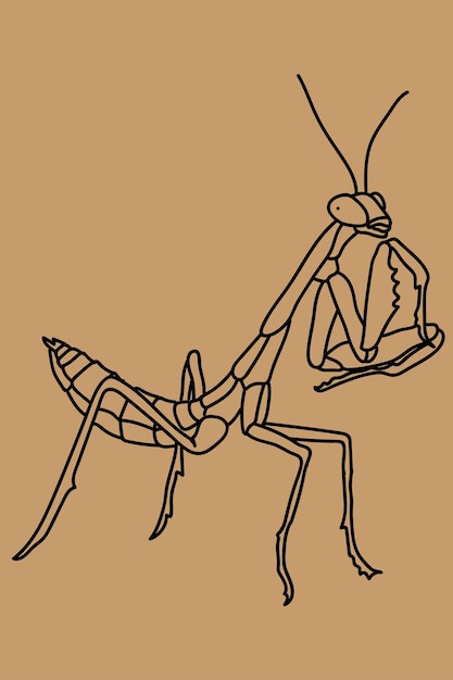 sketch mantis line art