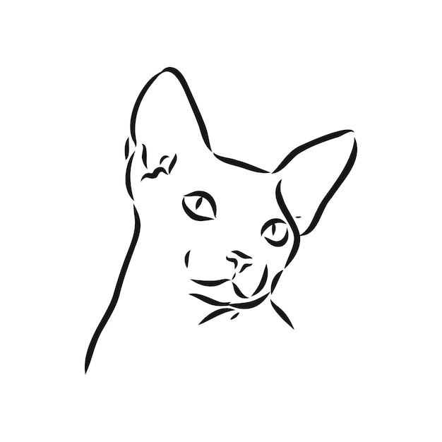 Эскиз кошки сфинкса, изолированные на белом фоне эскиз вектор кошки сфинкса