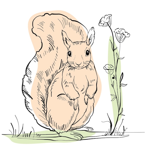 꽃 아름다운 실루엣으로 풀밭에 서 있는 다람쥐의 스케치