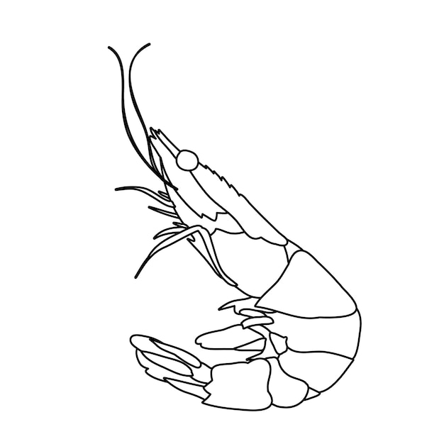 ベクトル エビ料理のスケッチ