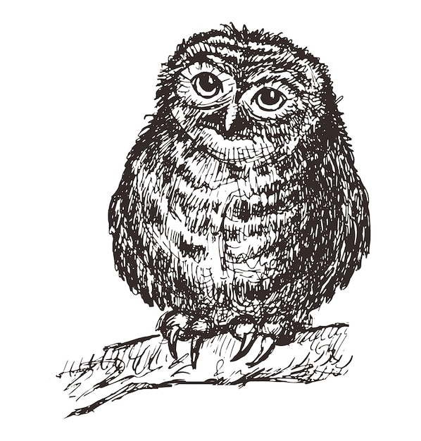 sketch of one cartoon cute owl chick sitting on branch vector hand drawn illustration isolatede