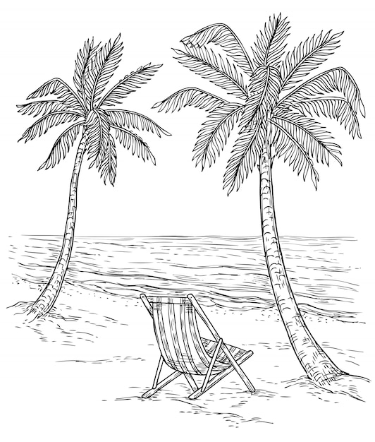 Vector sketch palm tree landscape. tropical palm beach, exotic trees and sea waves. vintage hand drawing  relaxing summer background