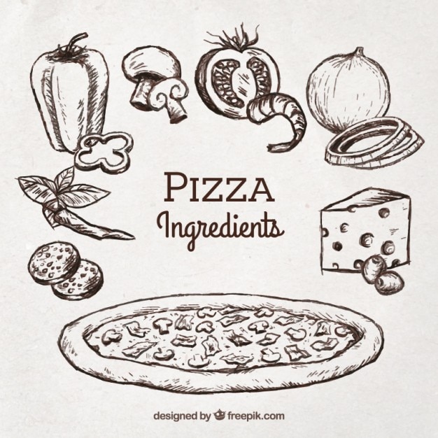 Vector sketch of pizza with ingredients