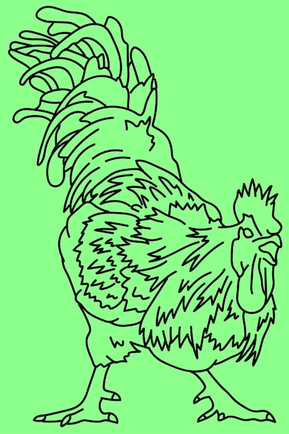 Vector sketch rooster line art